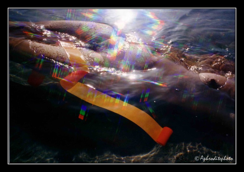 018 Vibrations colorées